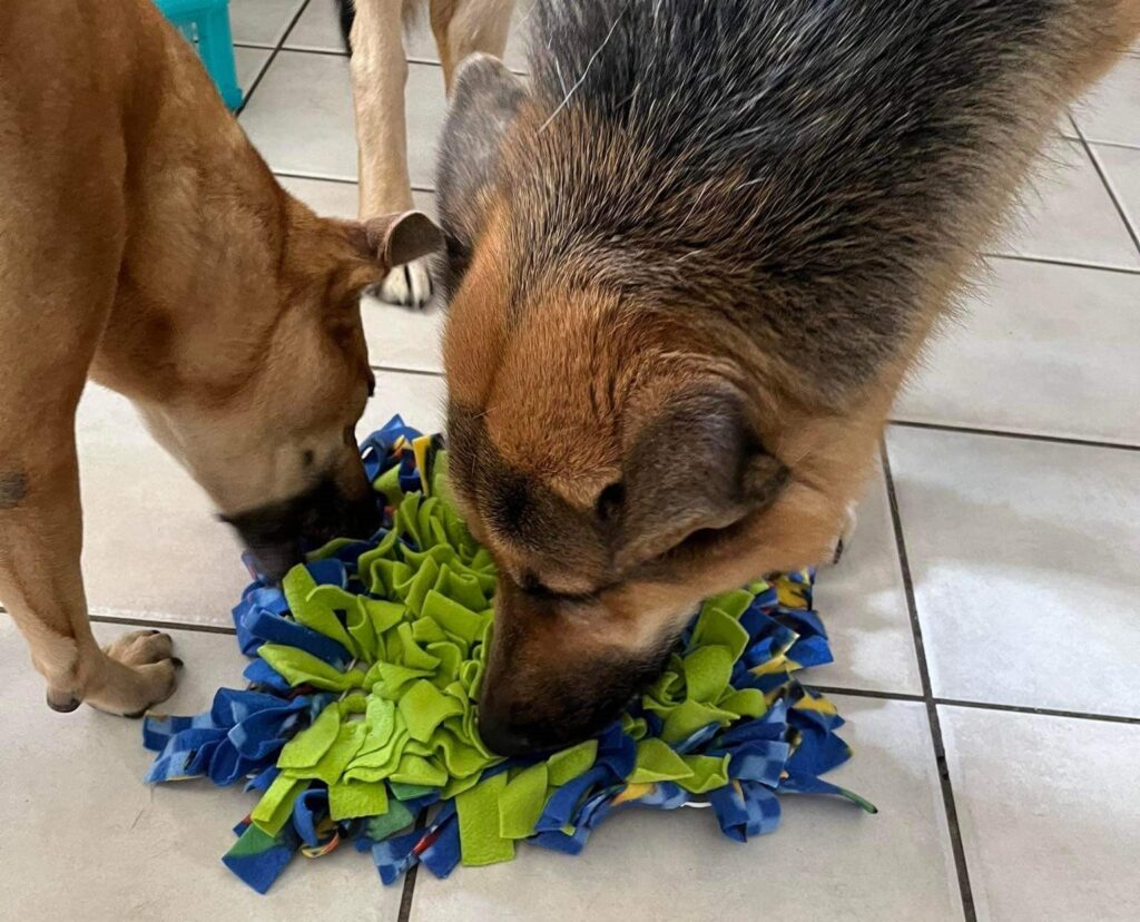 Leo & Tigger love their Snuffle Mat