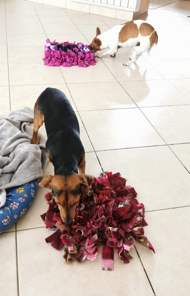 Michelle pups love their Snuffle Mats